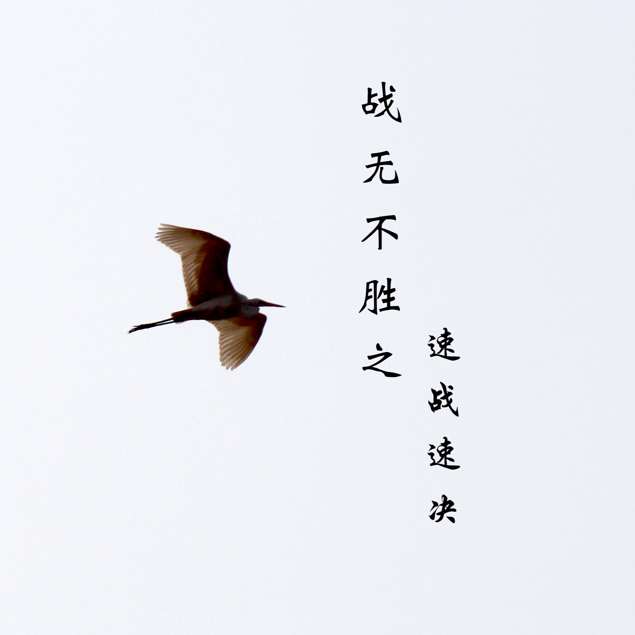 球队战无不胜，凭实力夺得赛季最终胜利的简单介绍