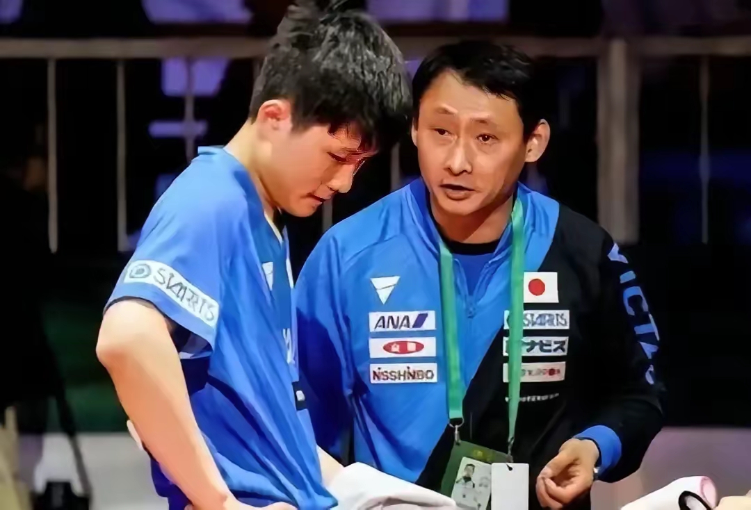 关于波兰乒乓球队碾压法国乒乓球队，张本智和送出助攻的信息
