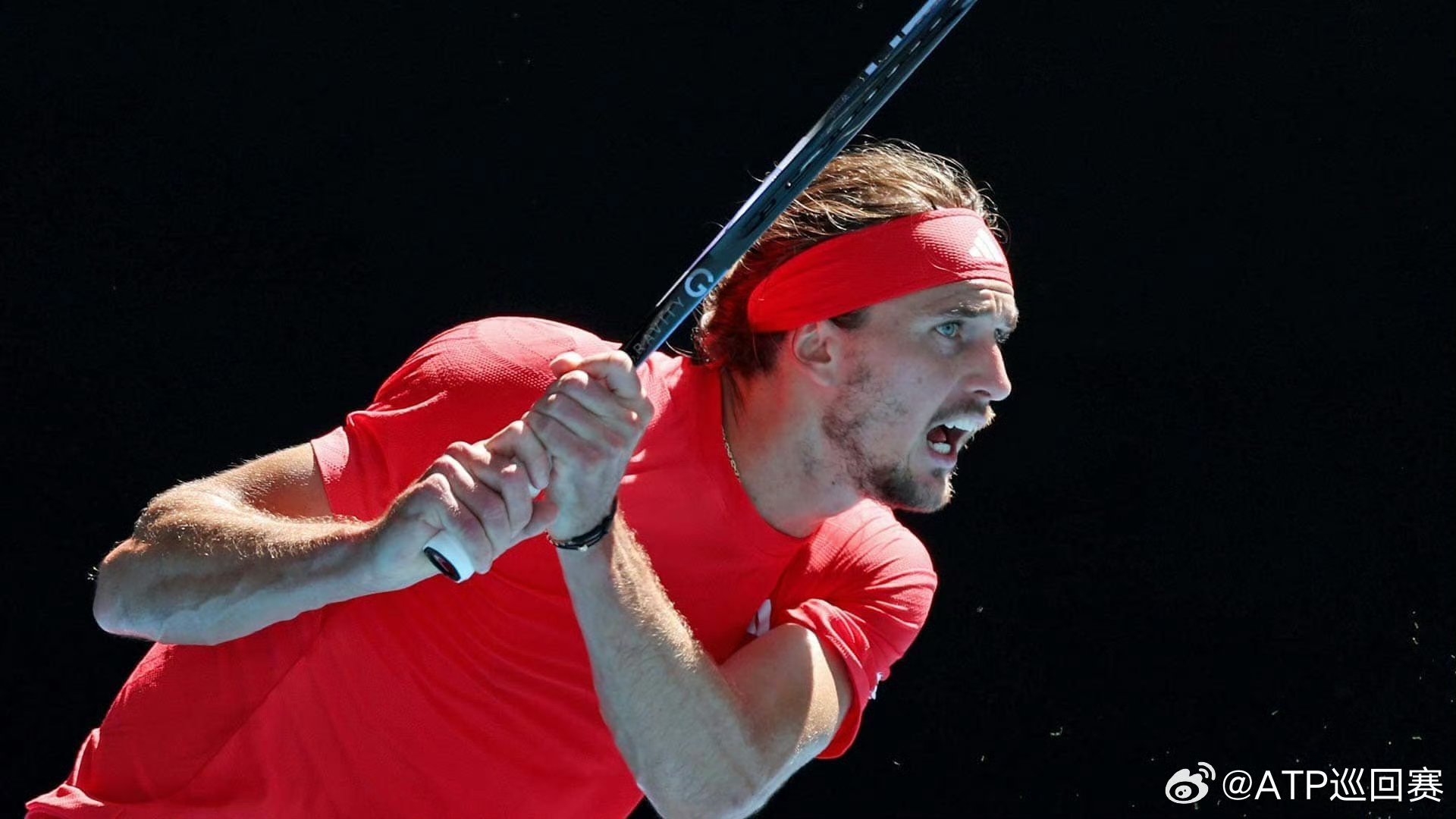 包含日本网球队强势澳大利亚网球队，兹维列夫完成帽子戏法的词条