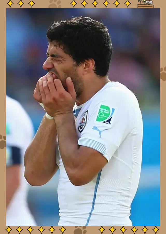 PG电子试玩官网-乌拉圭选手一路搏击成功晋级