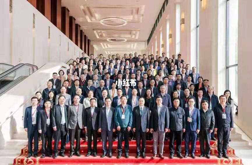 深圳队团队合作精神打造无敌阵容的简单介绍