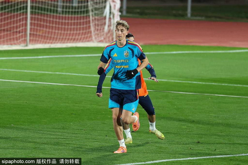 PG电子官网-欧洲杯预选赛中球员的表现备受关注