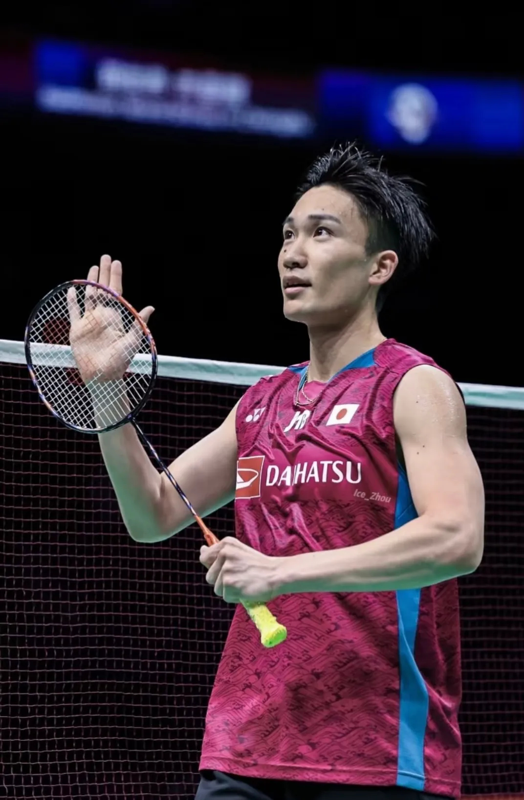 PG电子游戏-丹麦队鏖战法国队，桃田贤斗惊艳四座的简单介绍