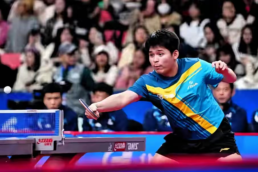 奥地利乒乓球队碾压比利时乒乓球队，许昕送出助攻的简单介绍
