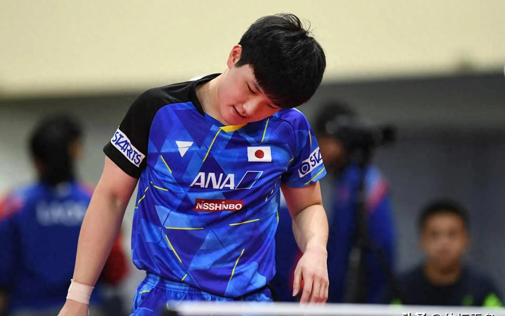 PG游戏下载-日本乒乓球队逆转波兰乒乓球队，张本智和绝境逆转的简单介绍