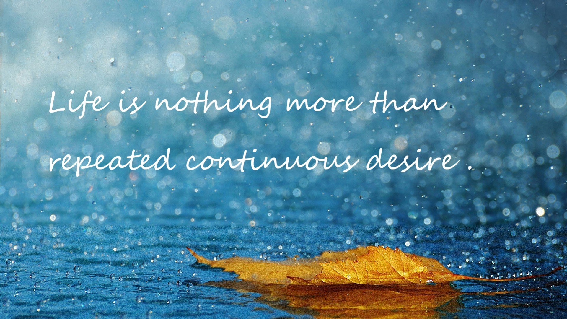 卡塔尔资本巅峰对决，巴西天才闪耀欧冠半决赛