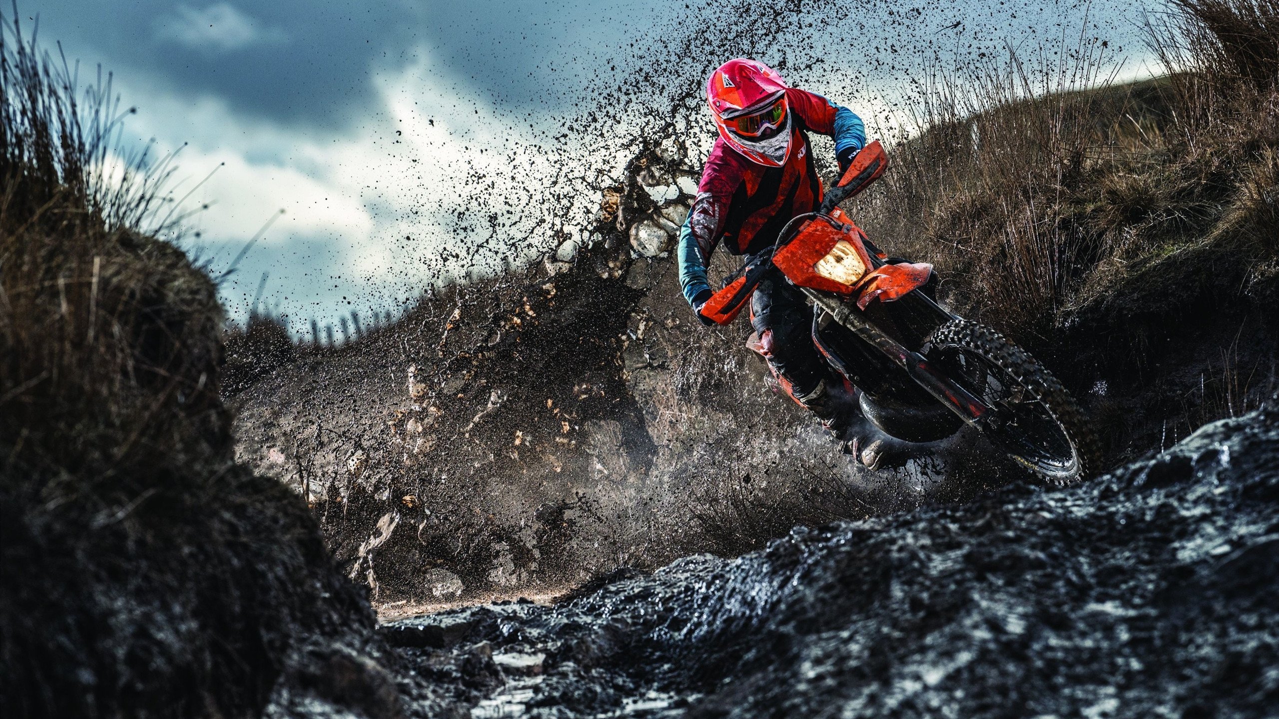 红土霸权与草地质疑，德约科维奇蒙特卡洛完胜温网，揭示统治力的多维真相